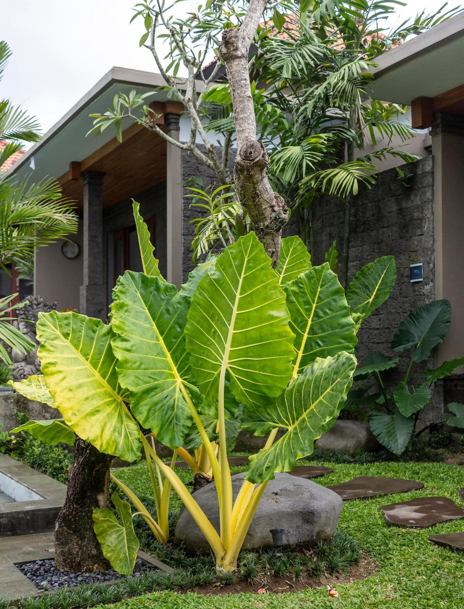 Royal Cottage Private Villa Ubud  Exterior photo